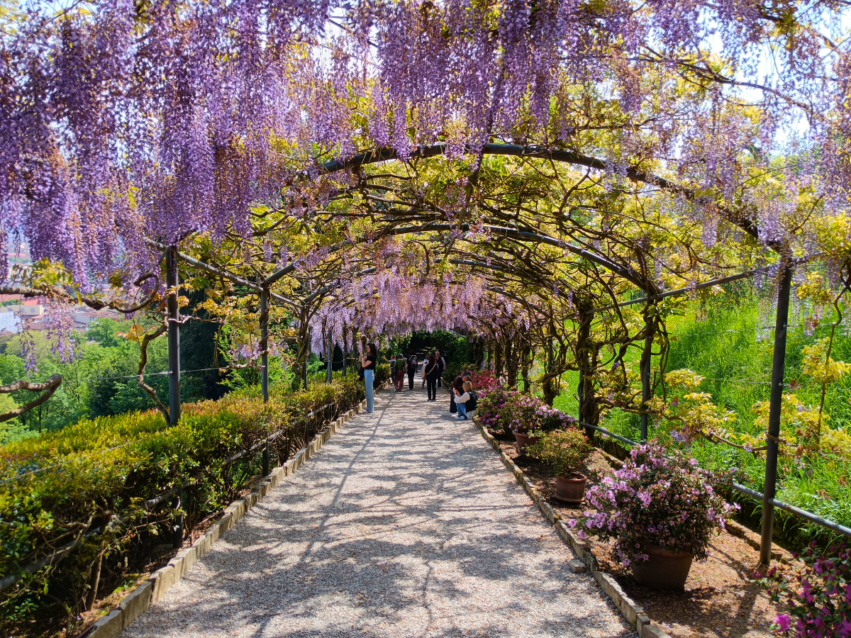 I luoghi più romantici per coppie a Firenze questo autunno