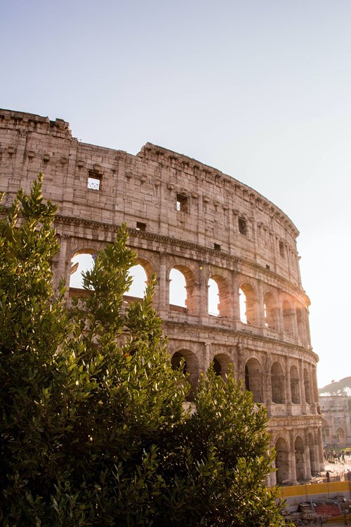 rome colosseo