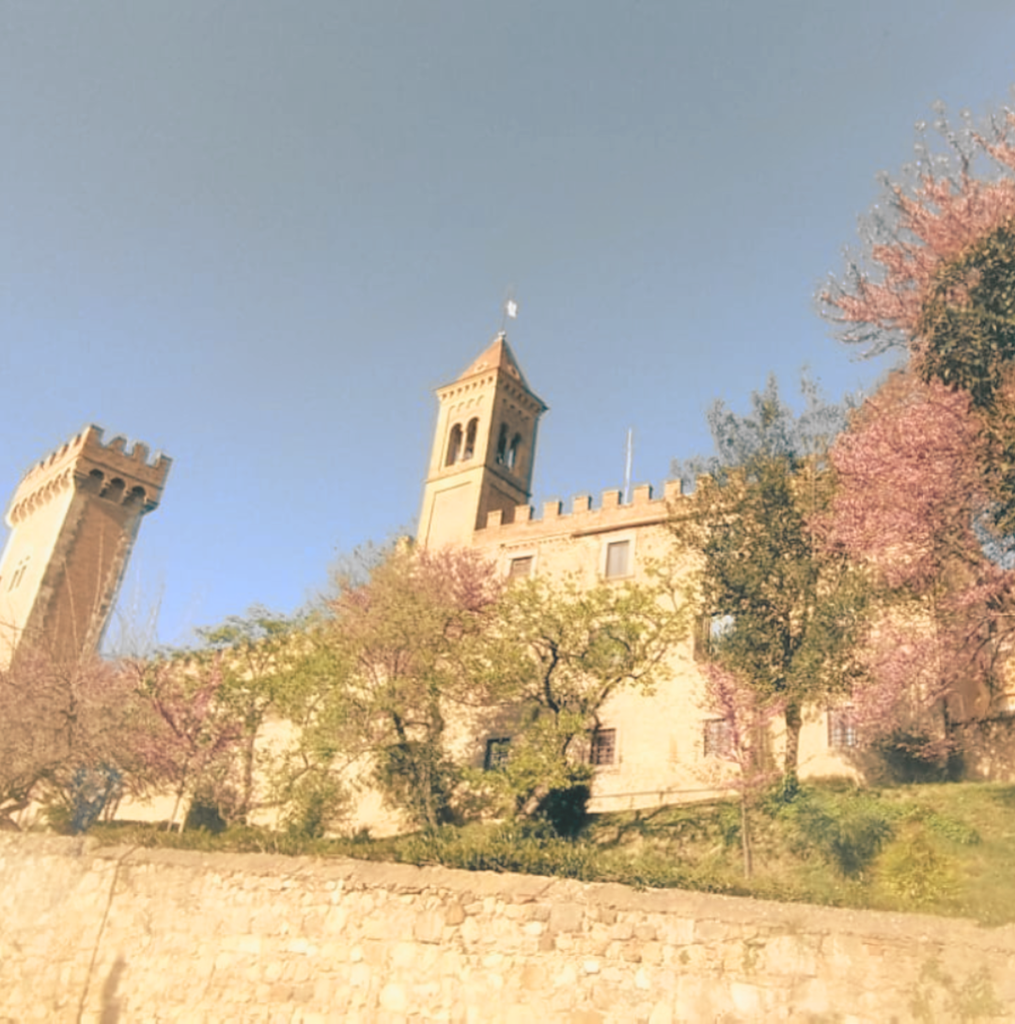 progetto senza titolo 6