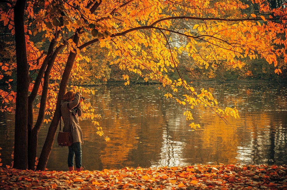 La guida definitiva al foliage d’autunno in Toscana: i luoghi più belli da scoprire