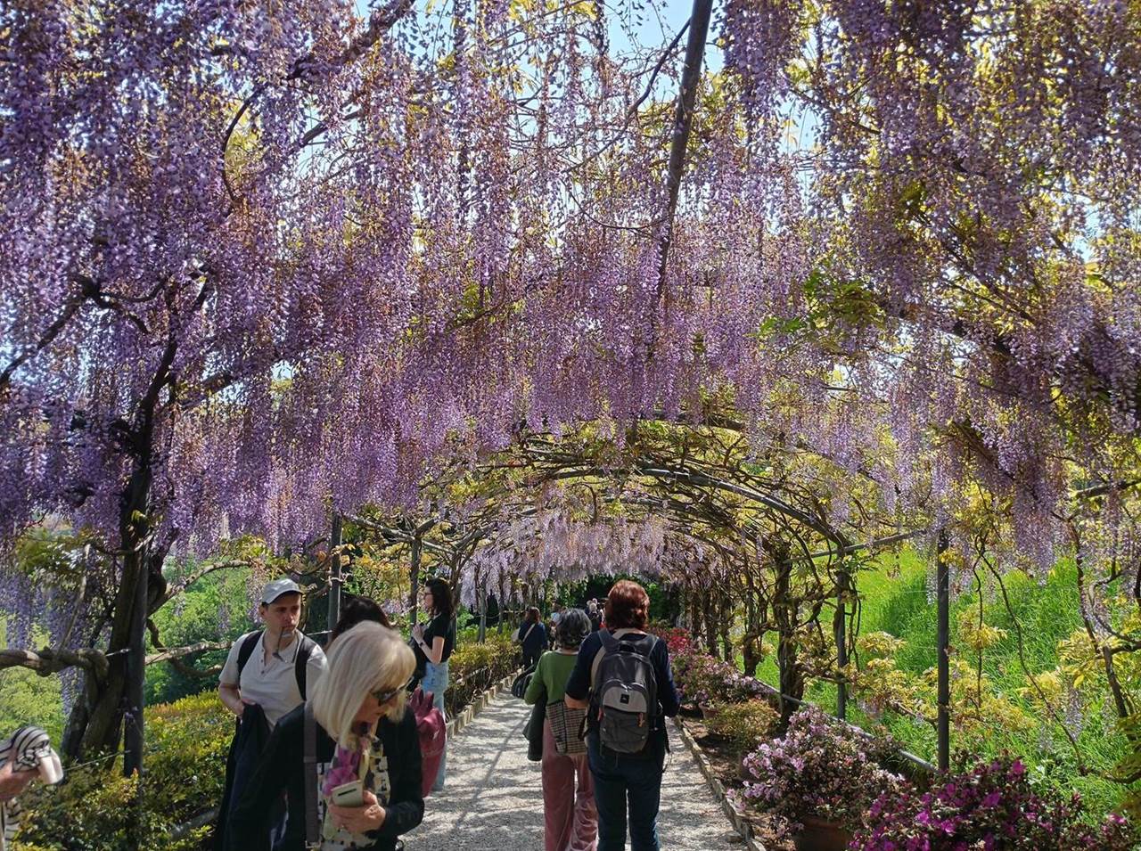 giardino villa bardini