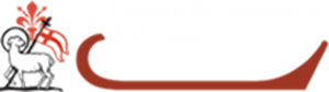 camera commercio firenze